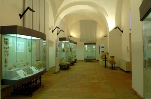 Museo Civico G. Savasta SEZIONE Archeologia